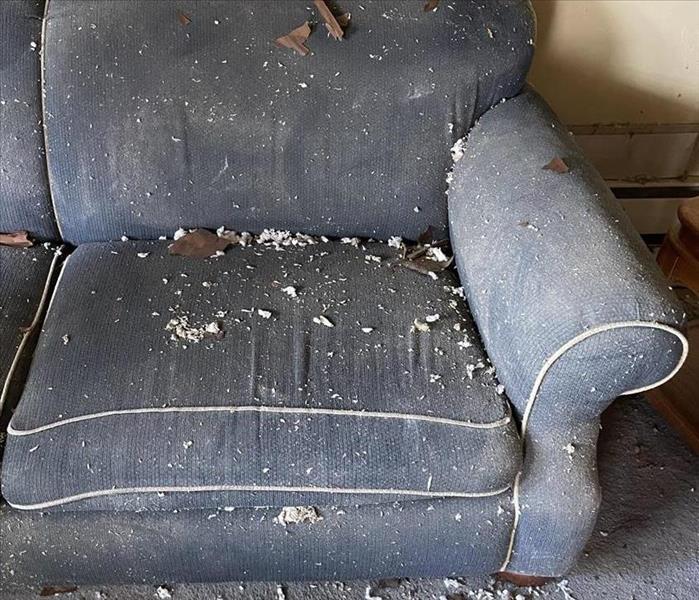 Couch with insulation and debris 